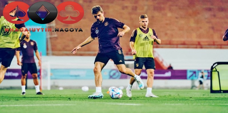 Cách Bắt Kèo Thơm Giúp Ổn Định Lợi Nhuận Và Hạn Chế Rủi Ro