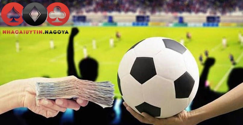 Nguồn Soi Kèo Uy Tín Cho Người Chơi Cá Cược